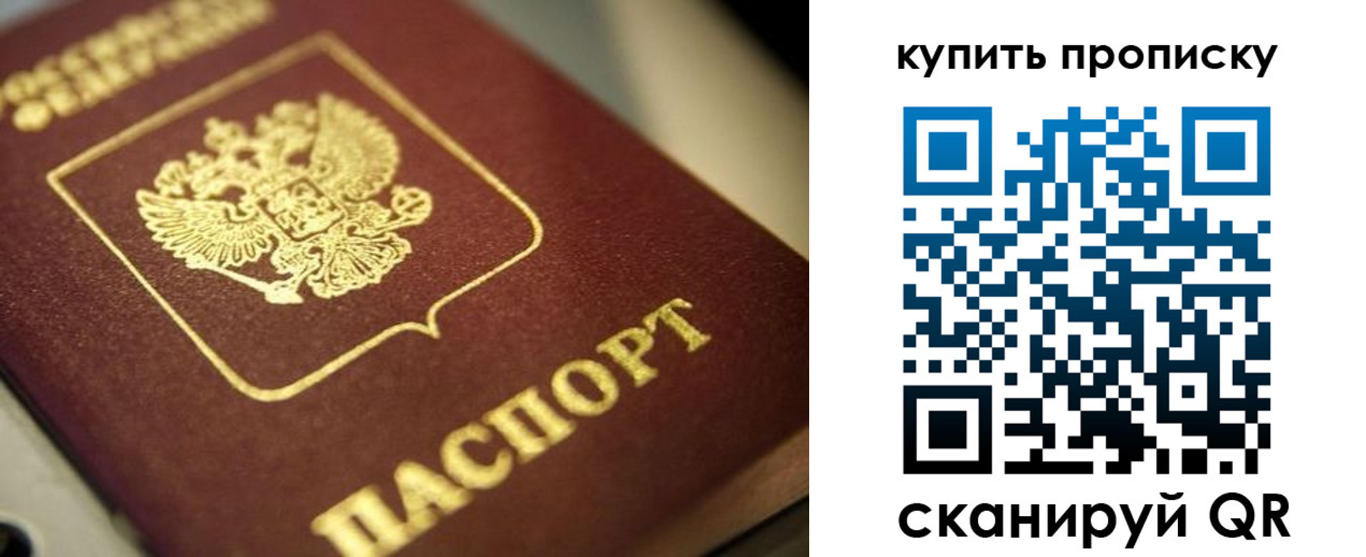 прописка поиск в Первомайске